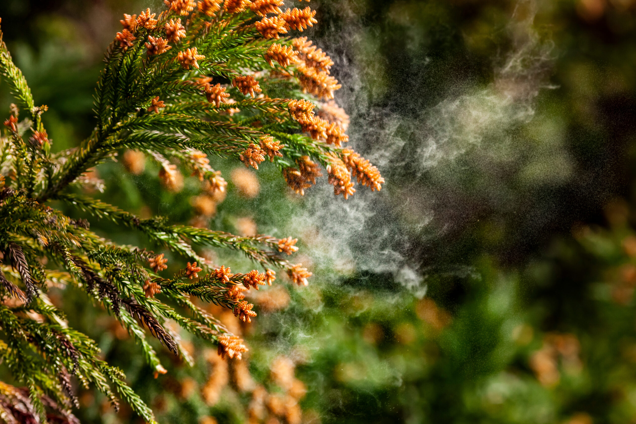 春の不調は花粉のせい？「休んでも抜けない疲れ」を整えるサロンケアのすすめ